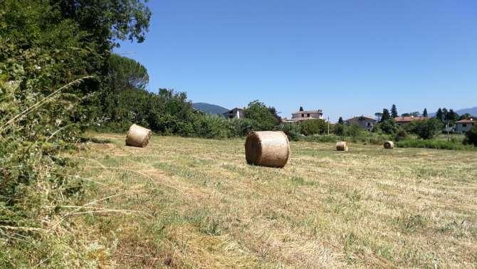 immobile terreno all'asta in Strada Provinciale 45/f - 02045 Contigliano (RI) - 5