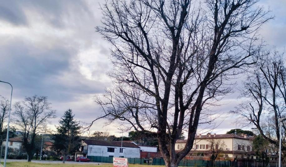 immobile terreno all'asta in prospiciente Via Giovanni Battista Codronchi - 48025 Riolo Terme (RA) - 1