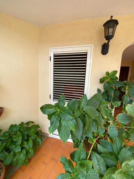 immobile appartamento all'asta in Via Corsica - 07023 Calangianus (SS) - 5