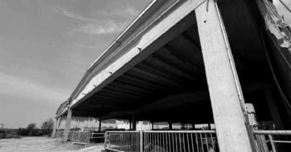 immobile palazzo all'asta in accesso in parte da Via Olmo e in parte da Strada Provinciale 2 - Gazzo Veronese (VR) - 5