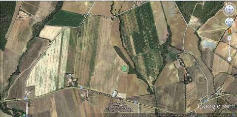 immobile palazzo all'asta in Strada Comunale Rurale di Casteani, 58023 Gavorrano GR, Italia Gavorrano, Grosseto - 2