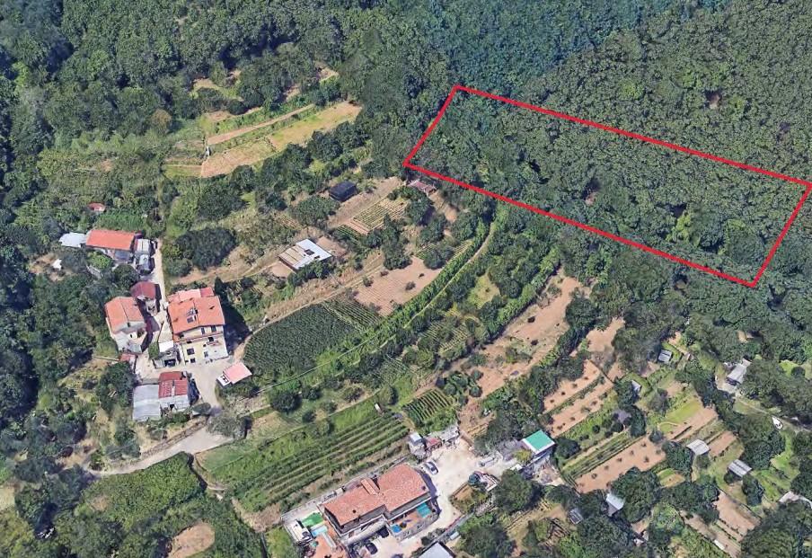 immobile terreno all'asta in Frazione San Martino di Cava de' Tirreni, via Vicinale San Martino - 84013 Cava de' Tirreni (SA) - 4