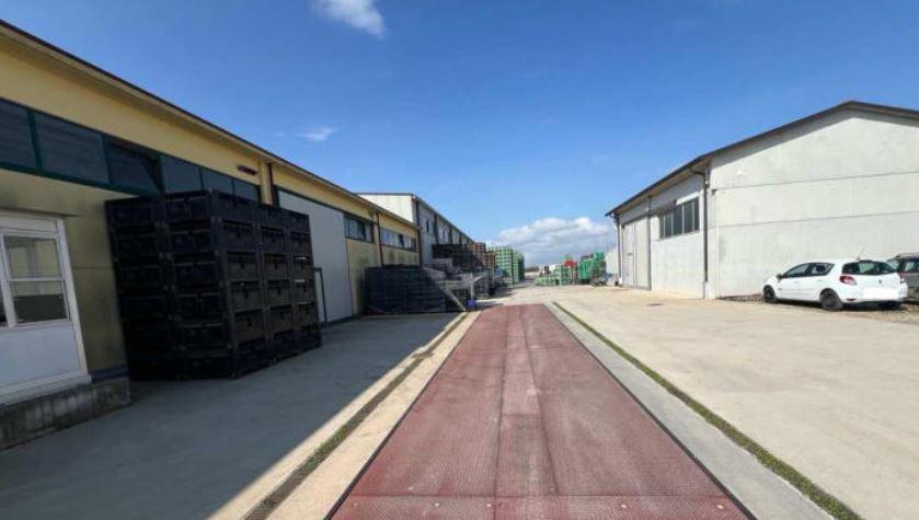 immobile attivita commerciale all'asta in Via Afra Decò, 22, 37053 Villafranca di Verona VR, Italia Villafranca Di Verona, Verona - 3