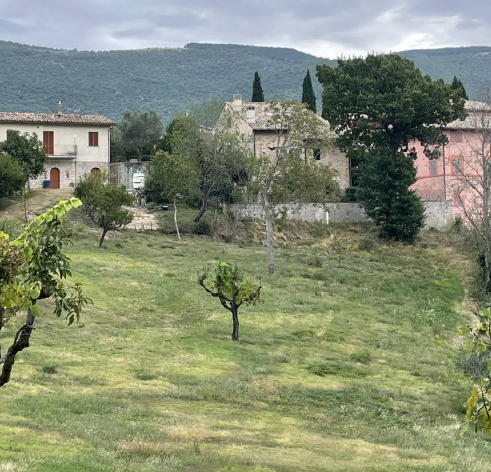 immobile terreno all'asta in Località Geppa, 06040 Geppa PG, Italia - 06040 Vallo di Nera (PG) - 1
