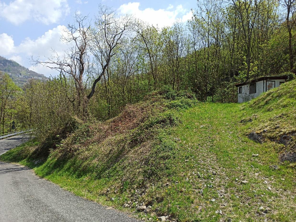 immobile terreno all'asta in Via XX Settembre - 22020 Laino (CO) - 1
