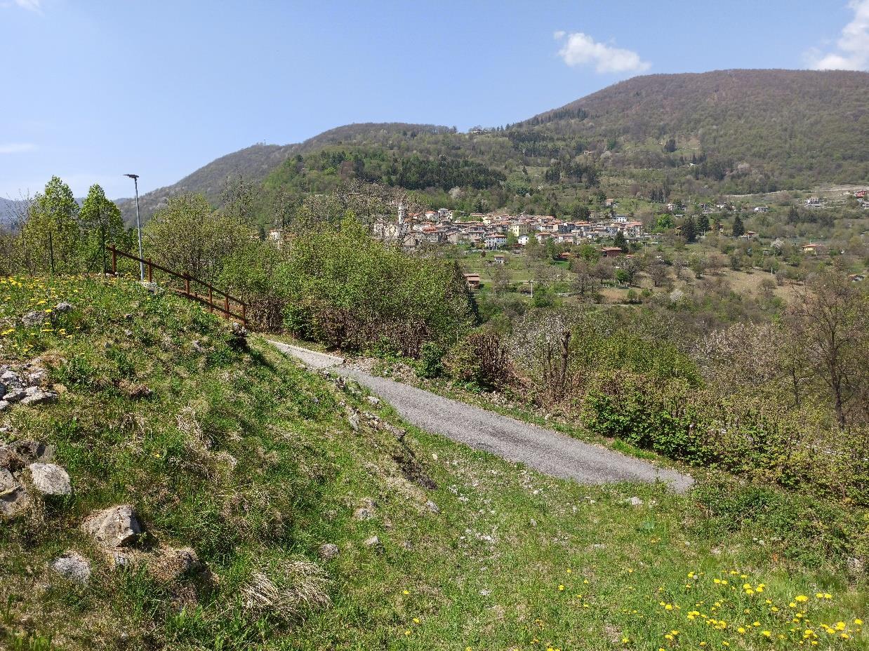 immobile terreno all'asta in Via XX Settembre - 22020 Laino (CO) - 2