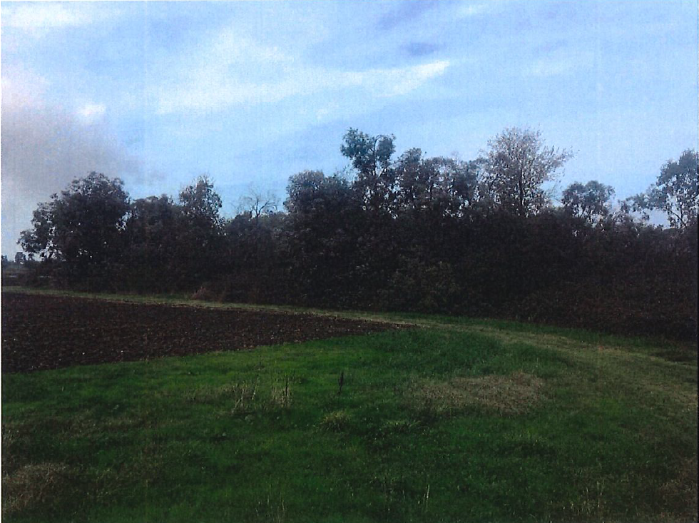 immobile terreno all'asta in Via Migliara 57, 04019 Terracina LT, Italia Terracina, Latina - 1