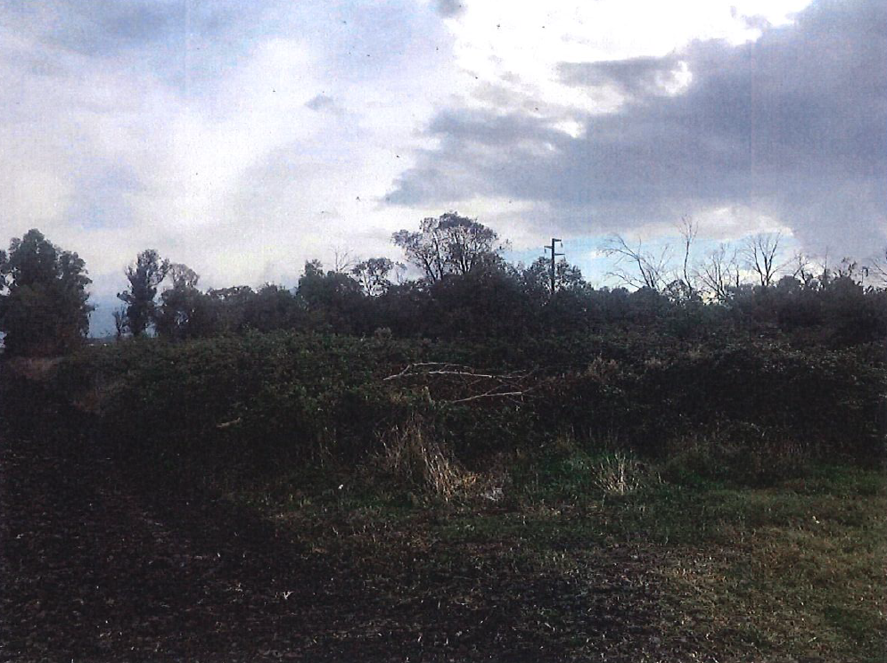 immobile terreno all'asta in Via Migliara 57, 04019 Terracina LT, Italia Terracina, Latina - 3