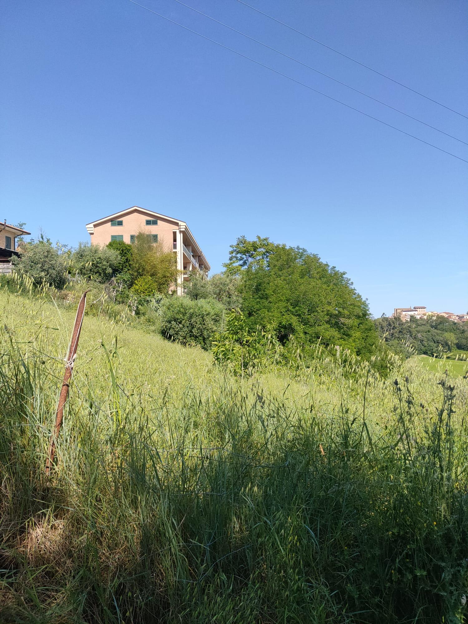 immobile terreno all'asta in via capo di fuori - 64020 Sant'Omero (TE) - 3
