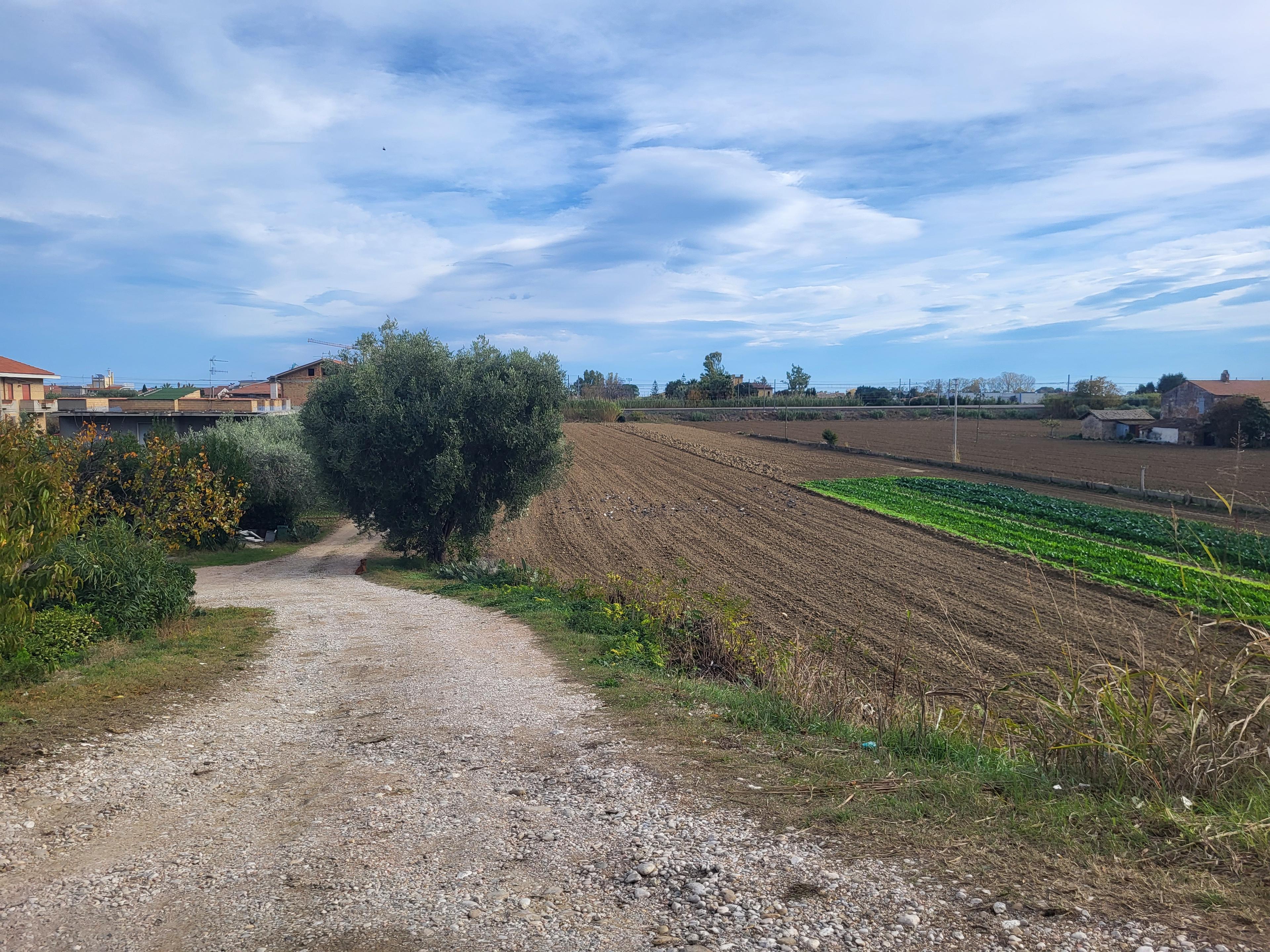 immobile terreno all'asta in Strada SS 16 Adriatica - 64014 Martinsicuro (TE) - 1