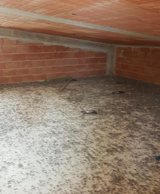 immobile cantina all'asta in via Boccaccio 4 - 96010 Palazzolo Acreide (SR) - 3
