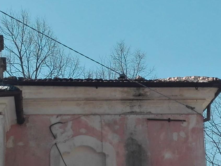 immobile appartamento all'asta in Via Santa Lucia snc - 67039 Sulmona (AQ) - 5