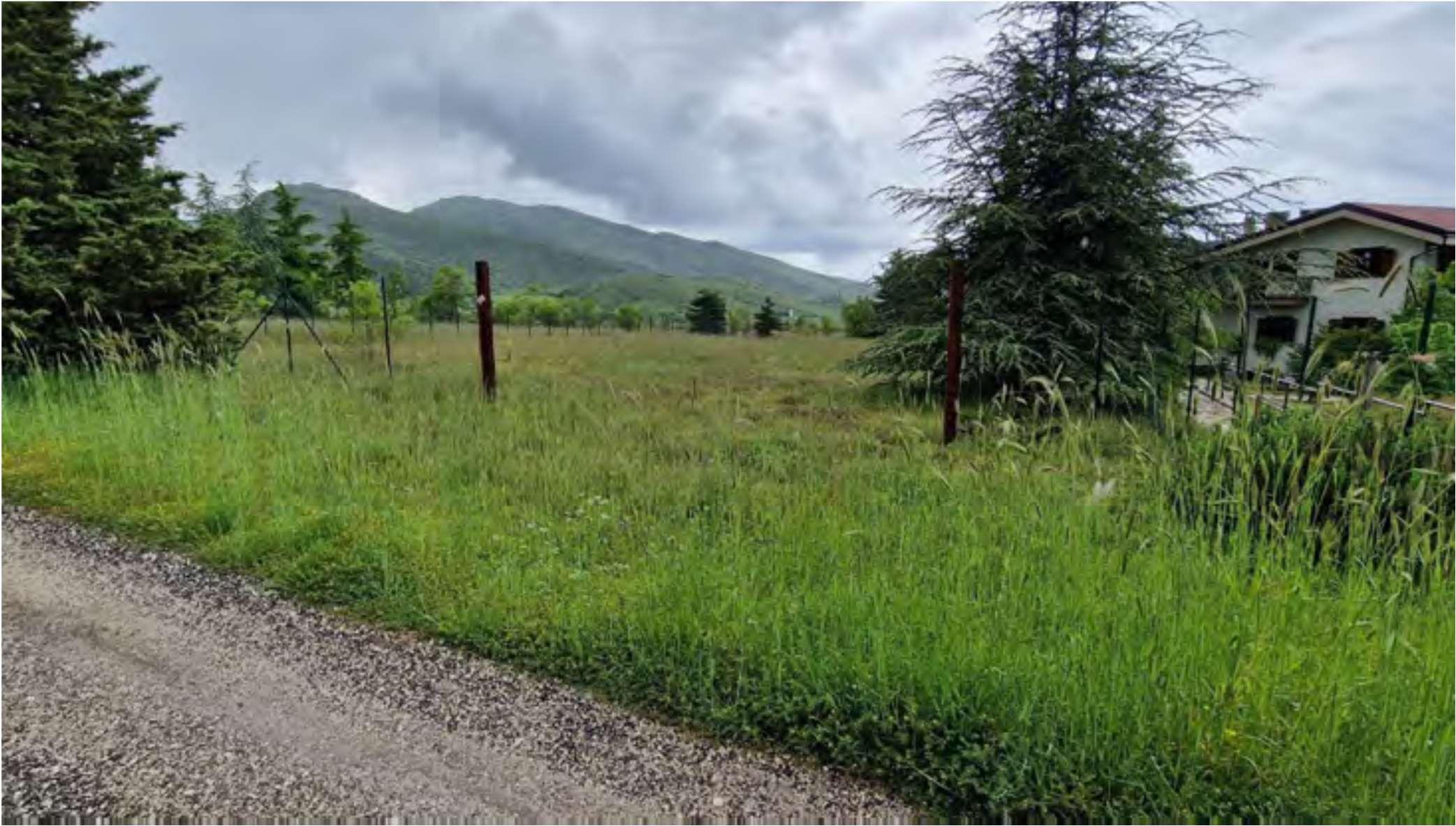 immobile terreno all'asta in Massa d'Albe (AQ) - 1