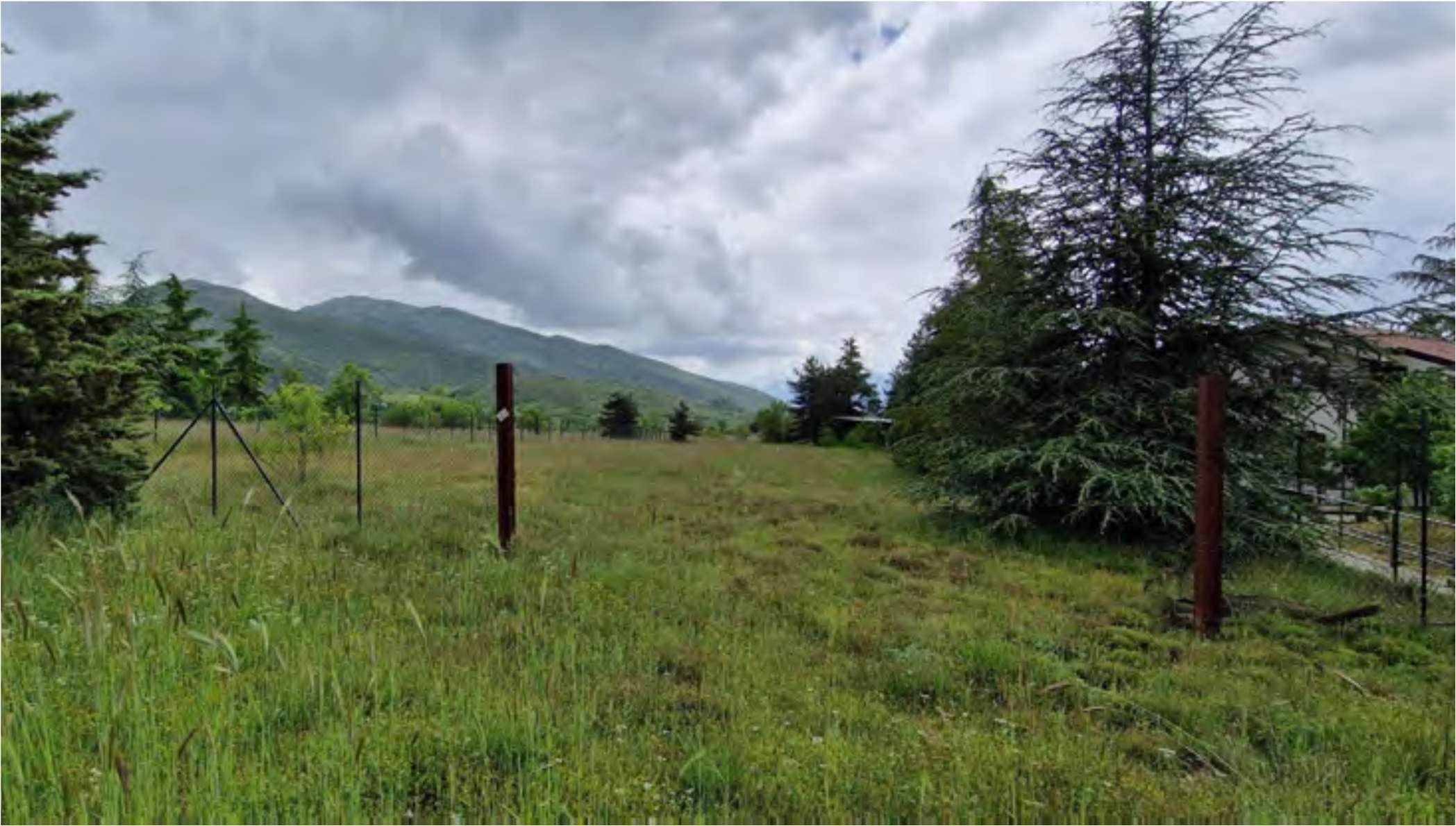 immobile terreno all'asta in Massa d'Albe (AQ) - 2