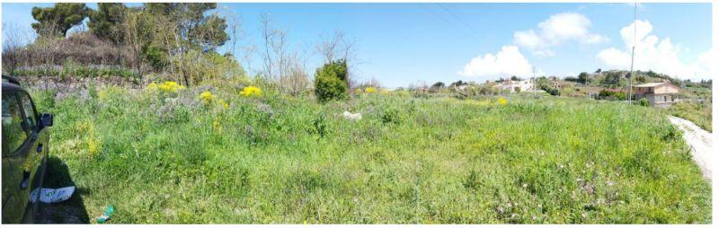 immobile terreno all'asta in Via Cammarata, 93014 Mussomeli CL, Italia Mussomeli, Caltanissetta - 5