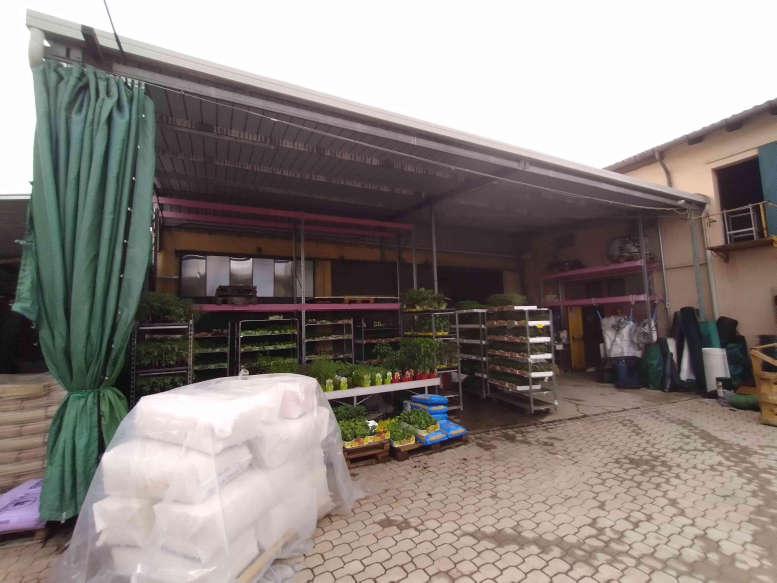 immobile attivita commerciale all'asta in Via Monsignor Candido Breda - 31038 Paese (TV) - 5