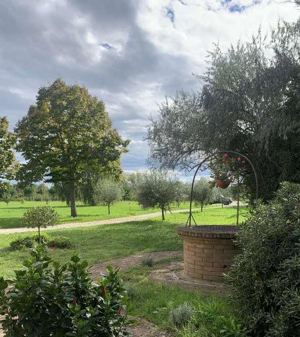 immobile villa all'asta in San Zaccaria, Via Erbosa, 78 - Ravenna (RA) - 5