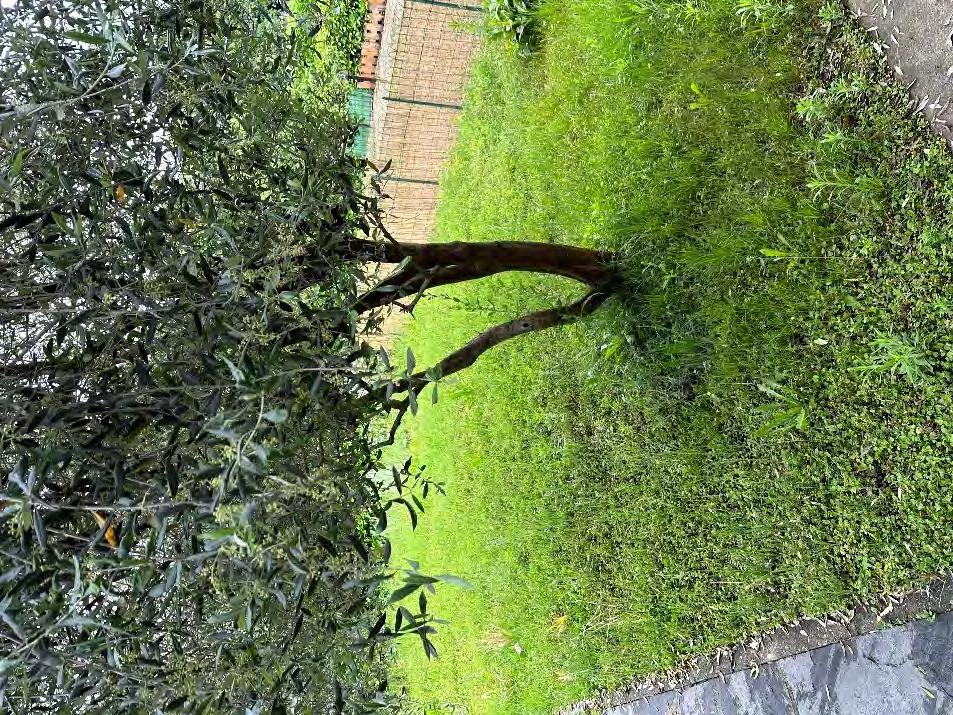 immobile appartamento all'asta in Via Cesare Pavese, 13048 Santhià VC, Italia Santhià, Vercelli - 4