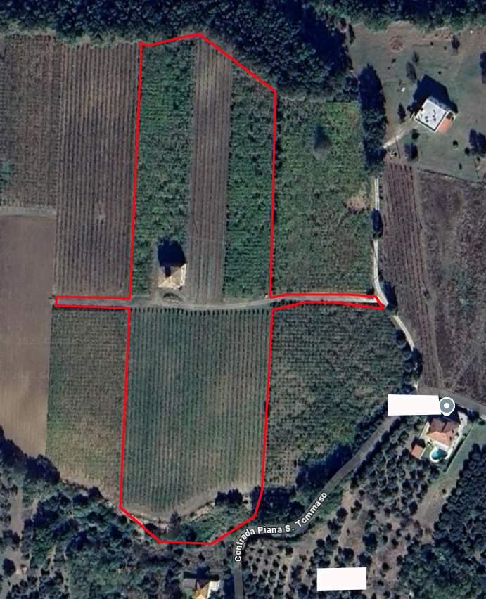 immobile rustico all'asta in Contrada Piana S Tommaso, 66020 Torino di Sangro CH, Italia - 66050 Torino di Sangro (CH) - 1