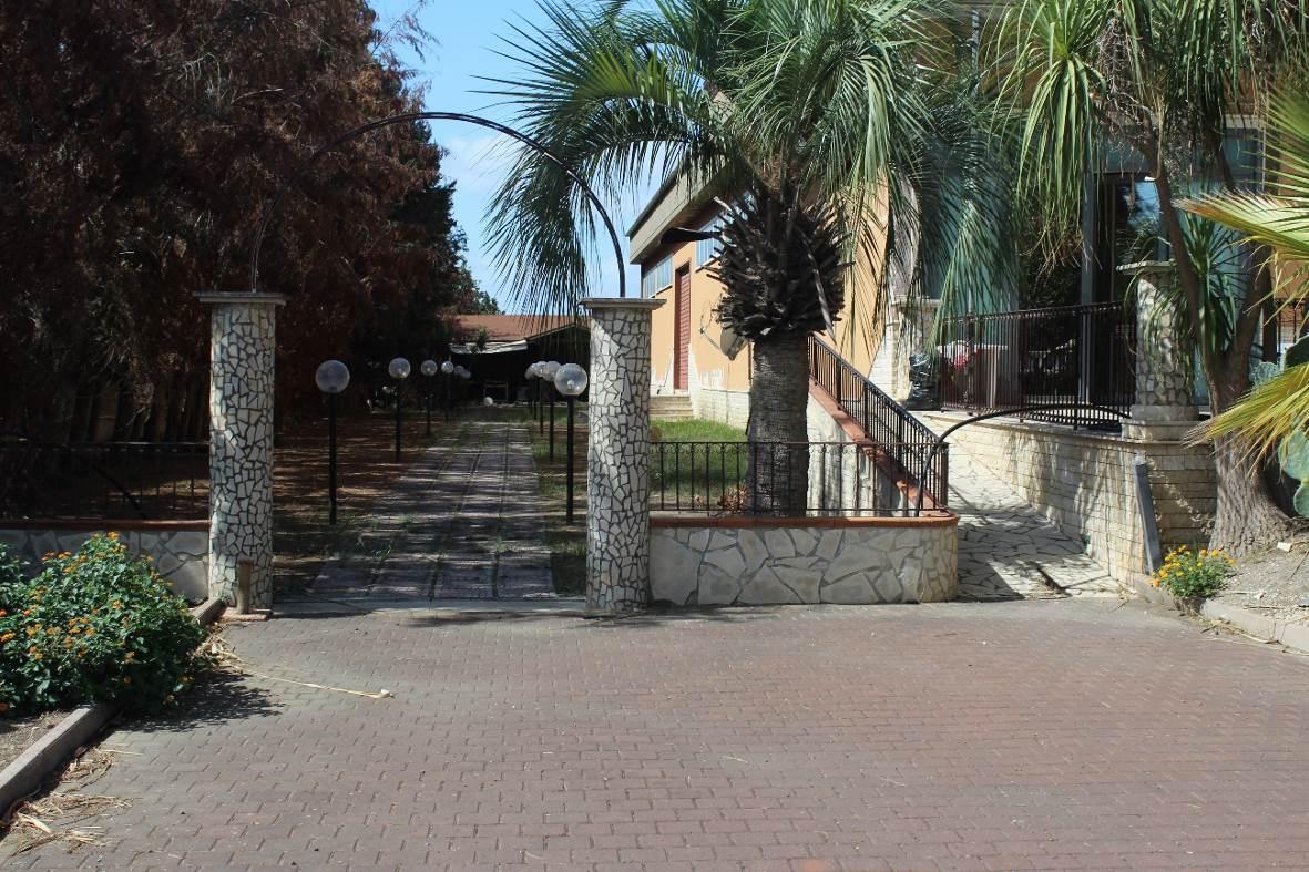 immobile magazzino all'asta in SP 251 Palagonia - Ramacca - 95046 Palagonia (CT) - 5