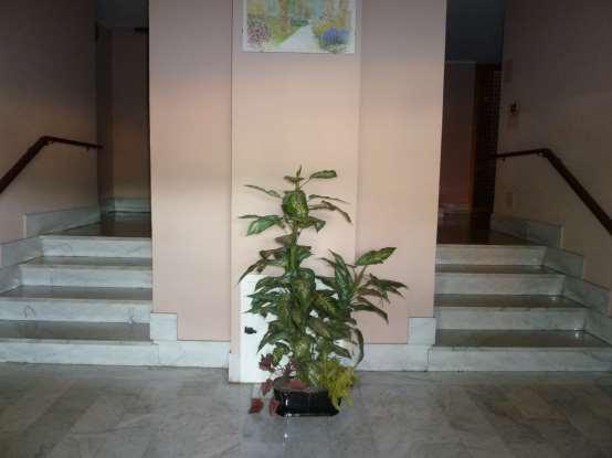 immobile appartamento all'asta in Via G Airenta, 3, 16010 Rossiglione GE, Italia Rossiglione, Genova - 4