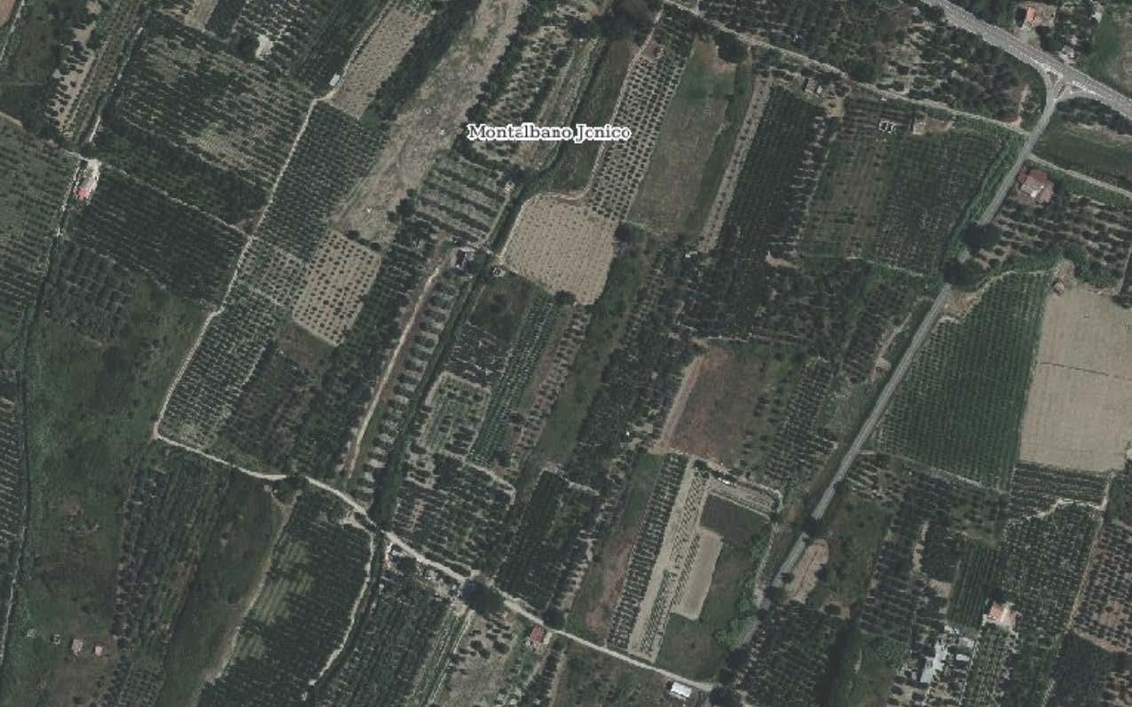 immobile terreno all'asta in AGRO DI MONTALBANO JONICO - 75023 Montalbano Jonico (MT) - 1