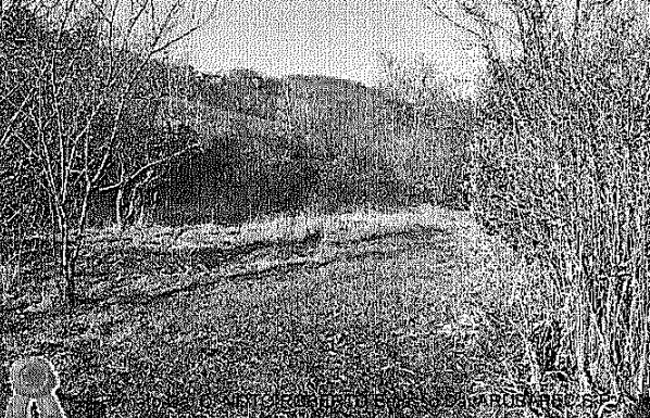 immobile terreno all'asta in Scanzorosciate - 24020 Scanzorosciate (BG) - 2