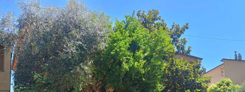 immobile appartamento all'asta in Via di Caserino 2/B - 06063 Magione (PG) - 1