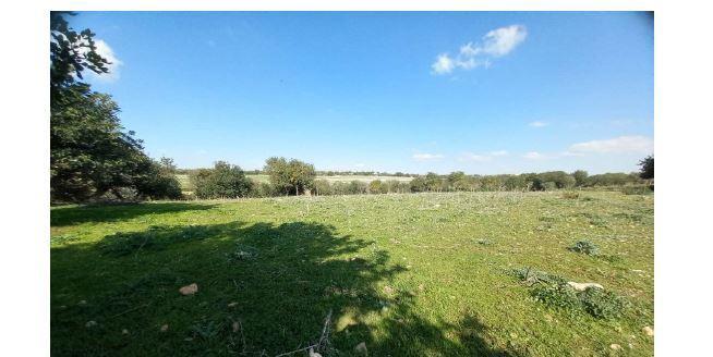 immobile terreno all'asta in Contrada Aurnia Brizza sn - 97015 Modica (RG) - 1
