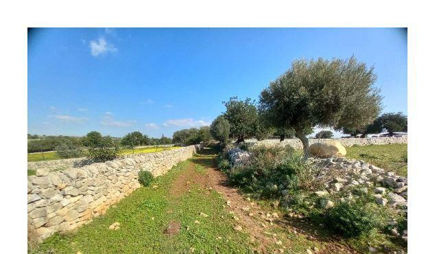 immobile terreno all'asta in Contrada Aurnia Brizza sn - 97015 Modica (RG) - 2