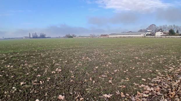 immobile terreno all'asta in Località Ronchi - 37064 Povegliano Veronese (VR) - 5