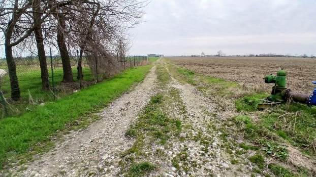 immobile terreno all'asta in Località Ronchi - 37064 Povegliano Veronese (VR) - 2
