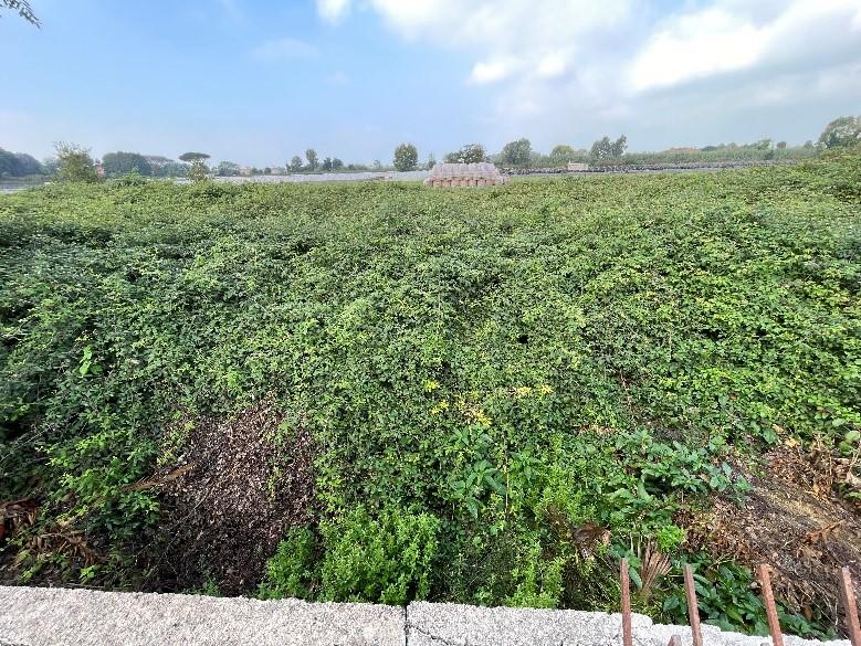 immobile terreno all'asta in LocalitĂ Rannola - 80014 Giugliano in Campania (NA) - 1