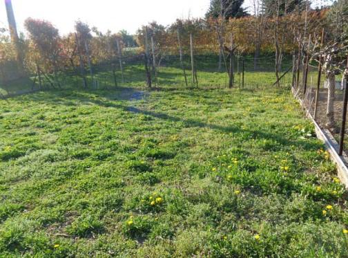 immobile rustico all'asta in Via Ungheresca 49 - 31020 San Vendemiano (TV) - 2