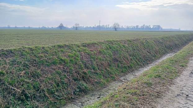immobile terreno all'asta in Località Ronchi - 37064 Povegliano Veronese (VR) - 3