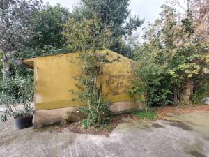 immobile appartamento all'asta in Via Monti, 2764 - 45030 Frassinelle Polesine (RO) - 1