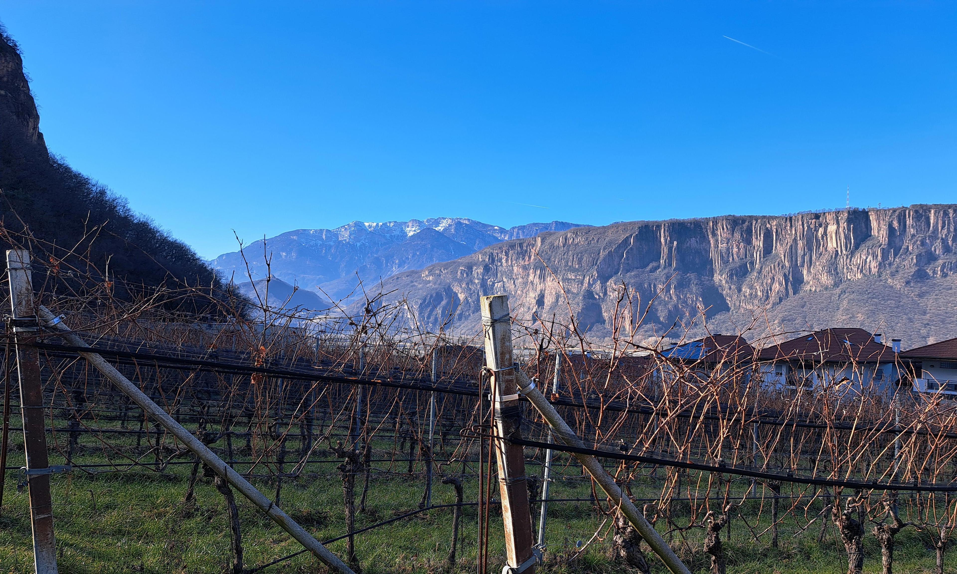 immobile terreno all'asta in 39051 Bronzolo (BZ) - 4