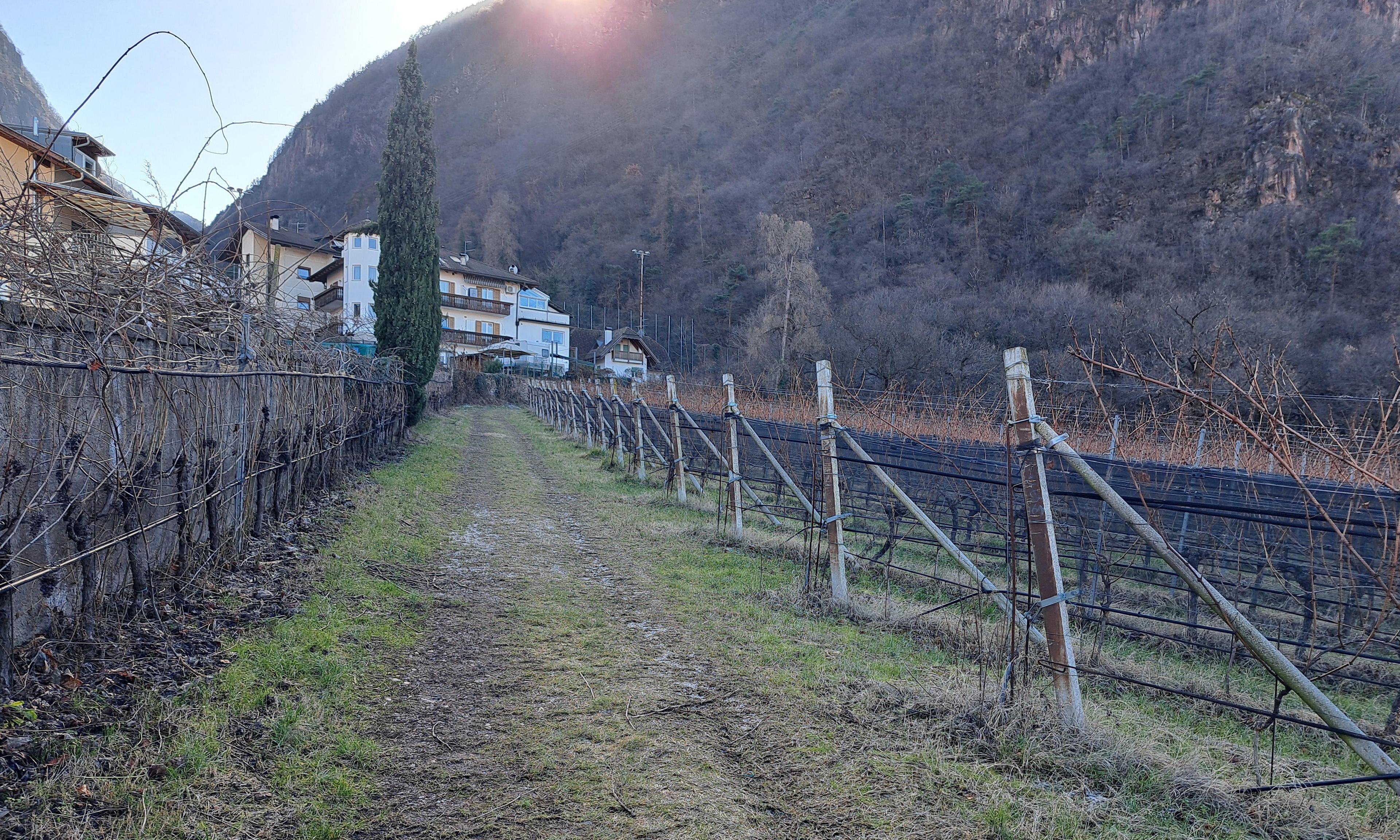 immobile terreno all'asta in 39051 Bronzolo (BZ) - 5