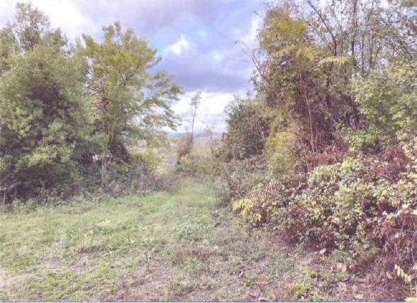 immobile terreno all'asta in Via Monaldi  - Contrada San Giuseppe - 63847 Monte Vidon Combatte (FM) - 1