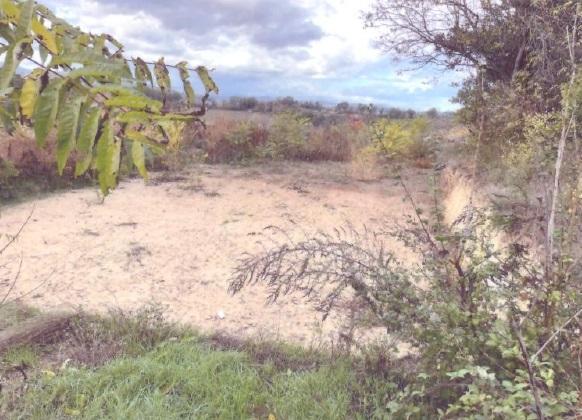 immobile terreno all'asta in Via Monaldi  - Contrada San Giuseppe - 63847 Monte Vidon Combatte (FM) - 2