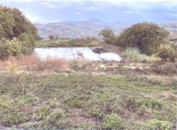 immobile terreno all'asta in Via Monaldi  - Contrada San Giuseppe - 63847 Monte Vidon Combatte (FM) - 4