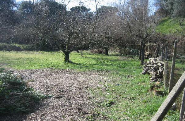 immobile terreno all'asta in Via Romana n 14 - 00043 Ciampino (RM) - 1
