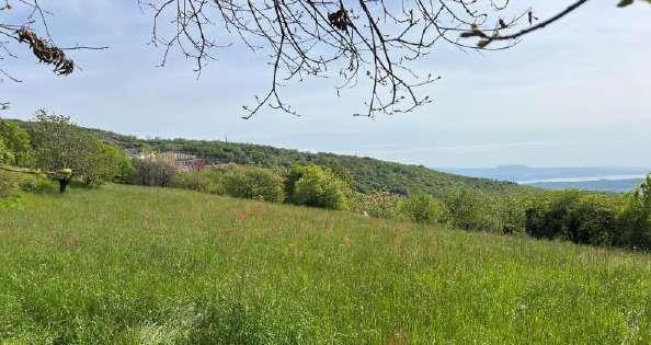 immobile terreno all'asta in Via Po, 25080 Serle BS, Italia Serle, Brescia - 1
