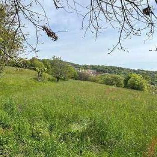 immobile terreno all'asta in Via Po, 25080 Serle BS, Italia Serle, Brescia - 2