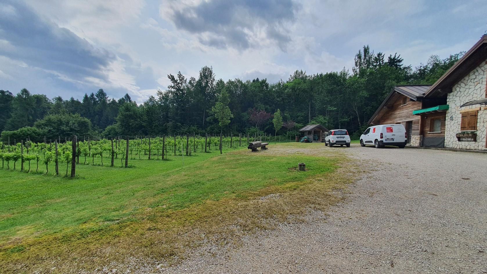 immobile terreno all'asta in Località Novegno - 32030 Arsiè (BL) - 1