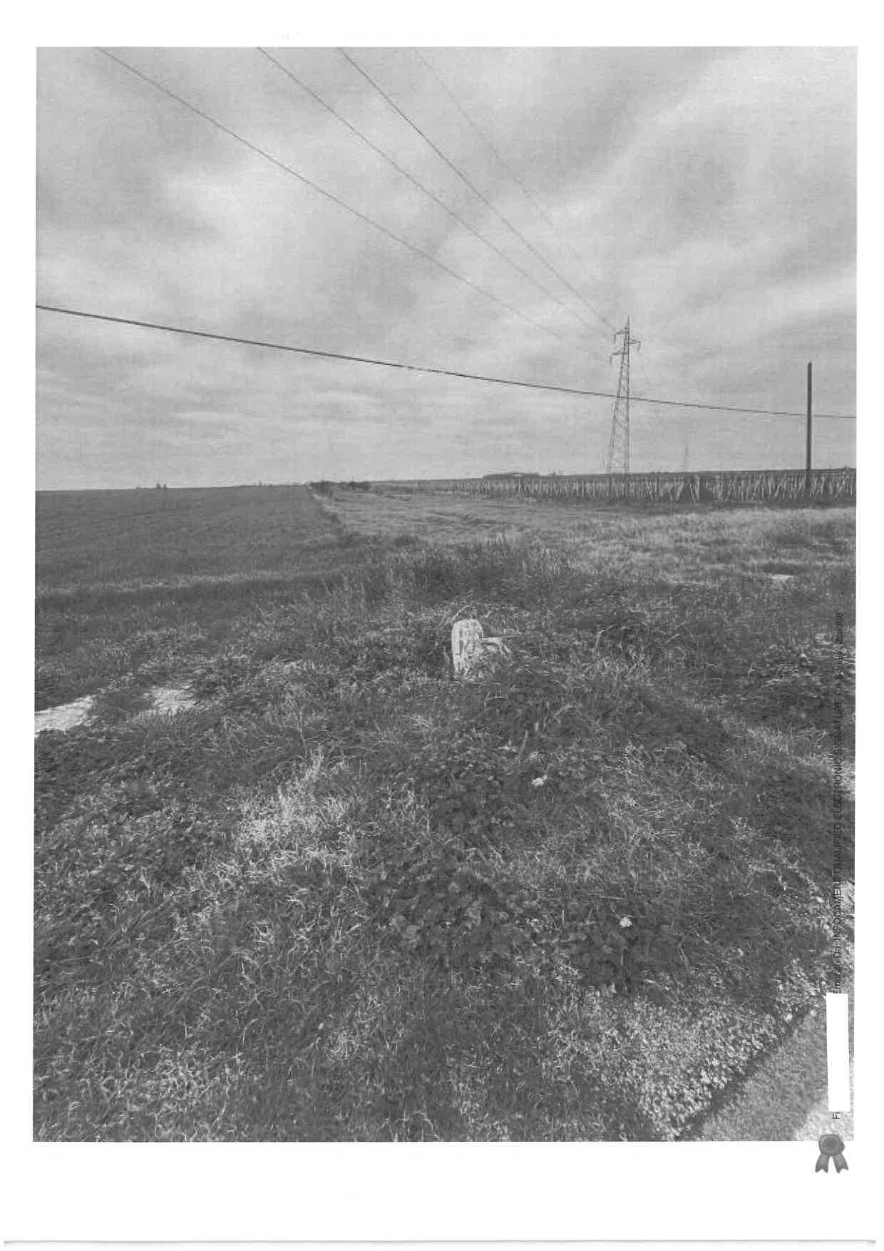 immobile terreno all'asta in Contrada San Trifone - 71011 Apricena (FG) - 1