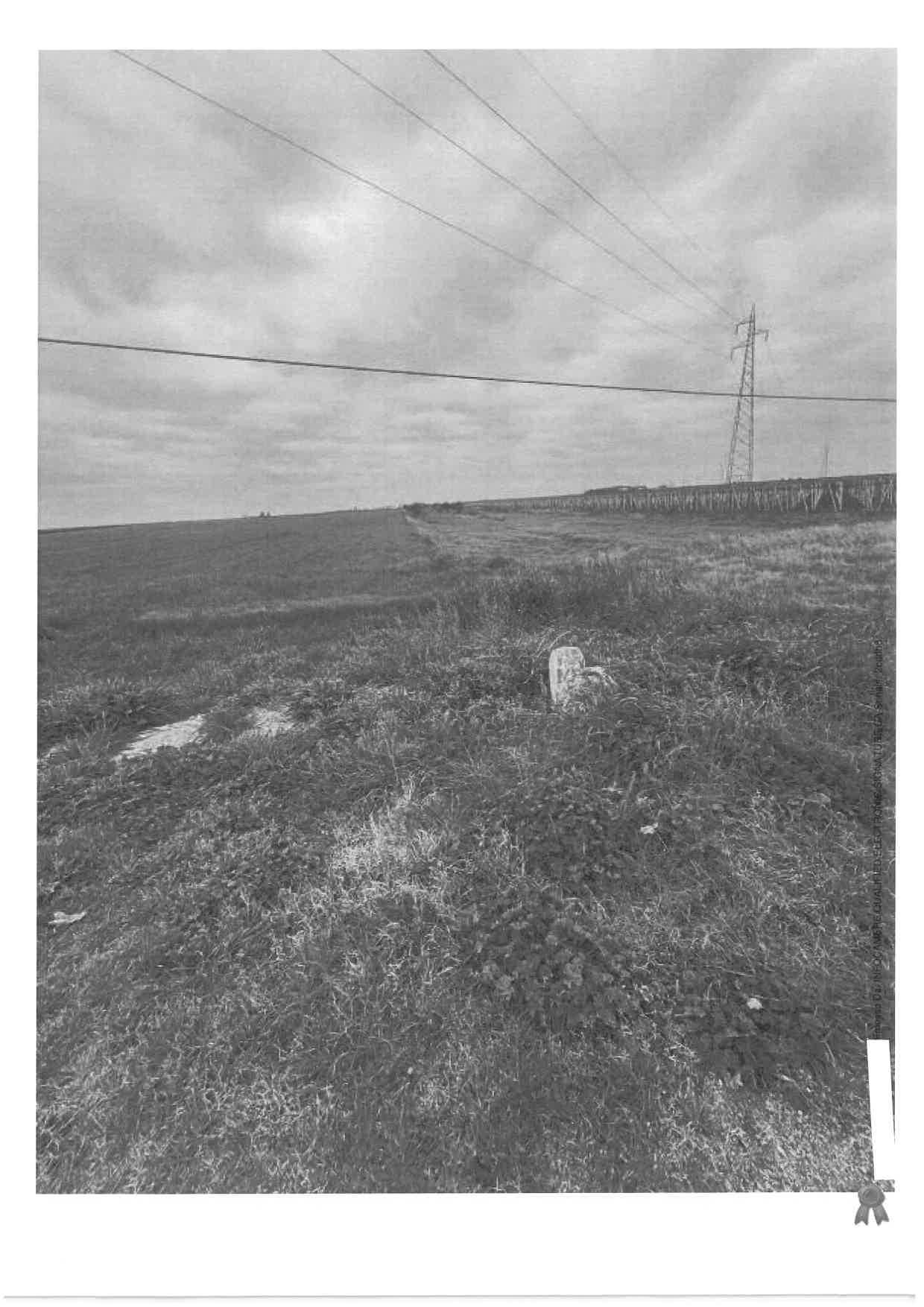 immobile terreno all'asta in Contrada San Trifone - 71011 Apricena (FG) - 2