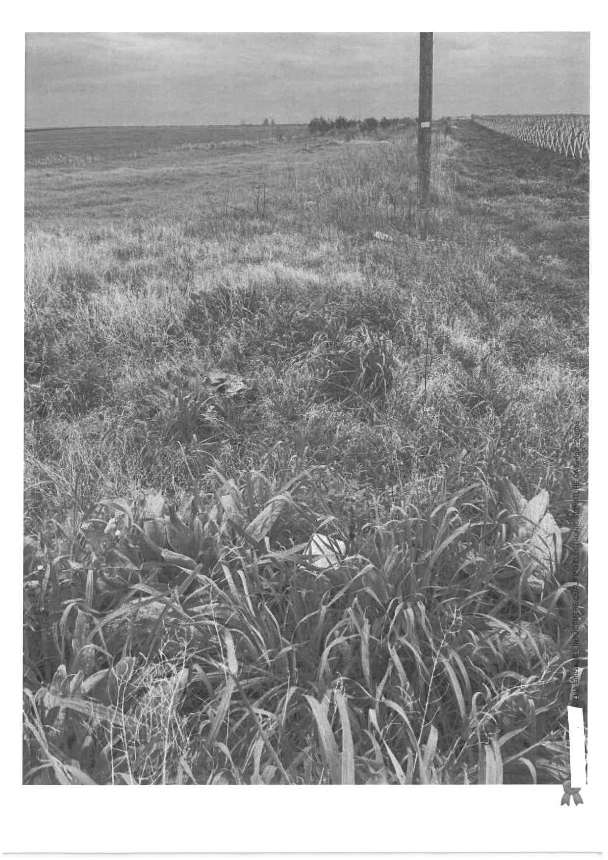 immobile terreno all'asta in Contrada San Trifone - 71011 Apricena (FG) - 5