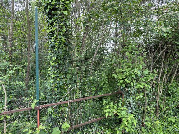 immobile terreno all'asta in Corso Giuseppe Garibaldi, 13045 Gattinara VC, Italia Gattinara, Vercelli - 1