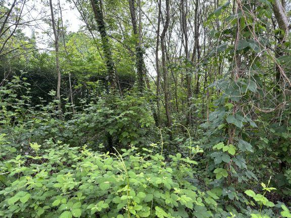 immobile terreno all'asta in Corso Giuseppe Garibaldi, 13045 Gattinara VC, Italia Gattinara, Vercelli - 2